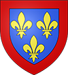 Blason de votre Département MAINE-ET-LOIRE Blason du Département Maine-et-Loire